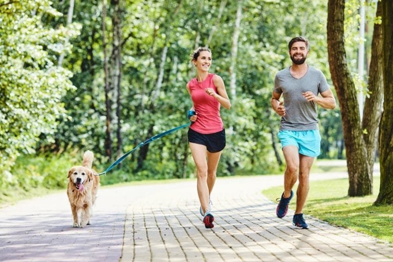 Veja como correr com cachorro com segurança